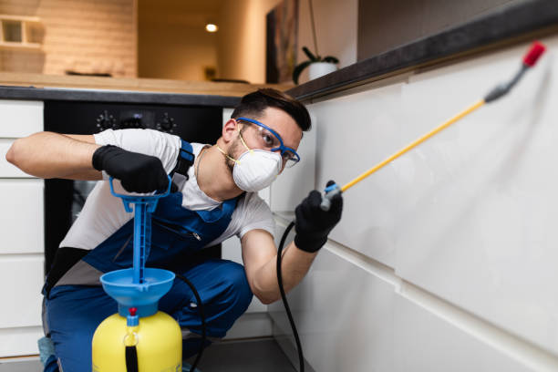Best Bed Bug Extermination  in Abbeville, LA