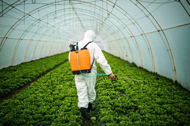 Best Commercial Pest Control Services  in Abbeville, LA