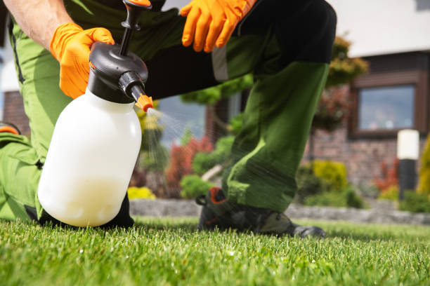 Best Pest Inspection Near Me  in Abbeville, LA
