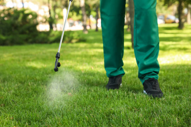 Best Exterminator Services  in Abbeville, LA