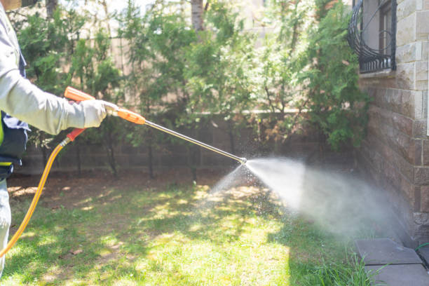 Best Affordable Pest Control Services  in Abbeville, LA